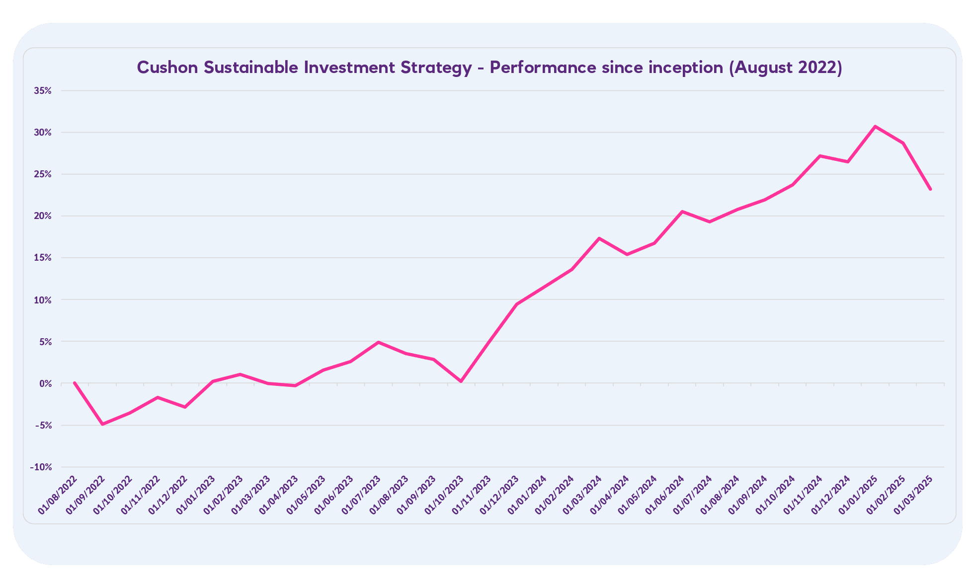 Cushon Sustainable Investment Strategy Performance since inception Q1 2025